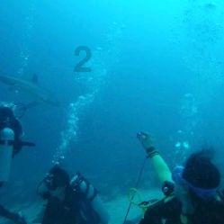 体检发现颈动脉斑块，该怎么办？哪些情况需要吃他汀、阿司匹林